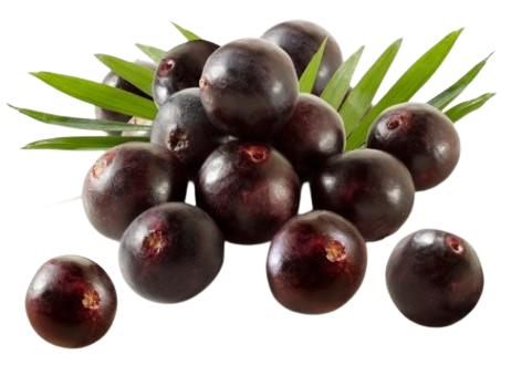 acai berry fruit