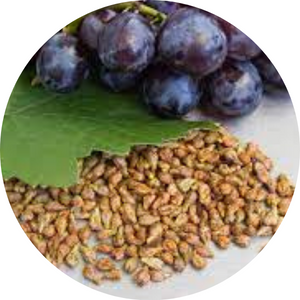 Grape seeds Extract